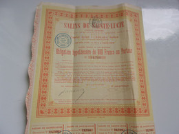 SALINS DE SAINTE LUCIE (1896) - Zonder Classificatie