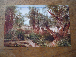 CPA Jerusalem  Garden Of Gethsemane, Church Missions To Jews - Palestine