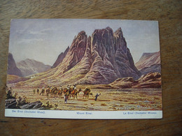 CPA  Le Sinaï Mount Sinai, Palästina, Bédouin, Chameaux, - Palestine