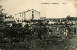 Castres * Environs * Le Camp De Causse * La Pesquie * Attelage - Castres