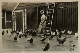 Zuid Beveland // Op De Boerderij (kippen) 1936 - Otros & Sin Clasificación