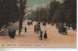 PARIS 398  LE BOIS DE BOULOGNE  LES ACACIAS - Arrondissement: 16