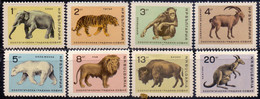 BULGARIA -  ZOO S - Indian Elephant Tiger Chimpanzee Siberian Ibex Polar Bear Lion Bison Gray Kangaroo - **MNH - 1966 - Raubkatzen