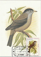 SAO TOME ET PRINCIPE Oiseaux, Oiseau, Pajaro, Bird . (speirops Lugubris). Carte Maximum, FDC, (Yvert N°556/60 + PA 20 - Otros & Sin Clasificación