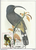 SAO TOME ET PRINCIPE Oiseaux, Oiseau, Pajaro, Bird (Dreptes Thomensis). Carte Maximum, FDC (Yvert N°556/60 + PA 20) - Otros & Sin Clasificación