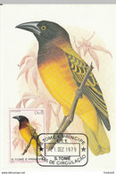 SAO TOME ET PRINCIPE Oiseaux, Oiseau, Pajaro, Bird (Textor Grandis). Carte Maximum, FDC (Yvert N°556/60 + PA 20) - Other & Unclassified