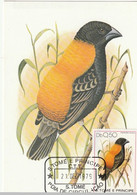 SAO TOME ET PRINCIPE Oiseaux, Oiseau, Pajaro, Bird (euplectes Aureus). Carte Maximum, FDC (Yvert N°556/60 + PA 20) - Autres & Non Classés