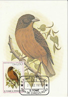 SAO TOME ET PRINCIPE Oiseaux, Oiseau, Pajaro, Bird (Erinus Rufobrunneus). Carte Maximum, FDC (Yvert N°556/60 + PA 20) - Andere & Zonder Classificatie
