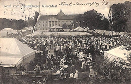 Gruss Vom Naumburger Kirschfest (top Animation 1913) - Mainz