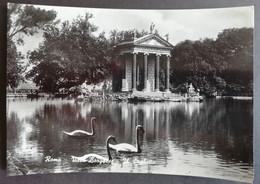 Cartolina 1962 ITALIA ROMA VILLA BORGHESE IL LAGHETTO Italy Postcard Italien Ansichtskarte Italie Carte Postale - Parks & Gardens