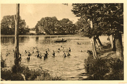 PIRE SUR SEICHE LES ENFANTS AU BAIN DANS LE LAC DE L'ECOLE DES MISSIONS COLONIALES - Autres & Non Classés