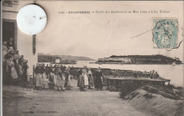 29 - Très Belle Carte Postale Ancienne De  DOUARNENEZ  Sortie Des Sardiniers Au Men Leon  L'Ile Tristan - Pont Aven