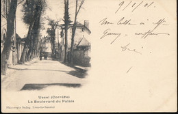 19 -- Ussel -- Le Boulevard Du Palais - Ussel