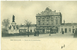 BRUXELLES.  Gare Du Luxembourg. Edit. Van Den Heuvel - Transport (rail) - Stations