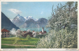 Sisikon - Dorf Im Frühling          Ca. 1925 - Sisikon