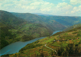 CPSM Ferreira De Panton-Lugo-Panoramica Del Rio Miño-Timbre    L1412 - Lugo