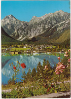 Pertisau, 950 M, Gegen Sonnjoch, Achensee, Tirol  - (Österreich / Austria) - Pertisau