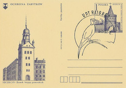 Poland Postmark D77.07.01 Raj: RAJGROD Post Office Bird - Stamped Stationery
