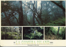 Canaries - La Gomera - Parque Nacional De Garajonay - Bosque Del Cedro - Ecrite, Timbrée - Gomera
