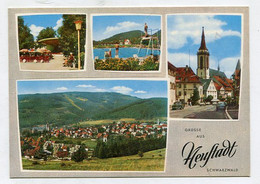 AK 044466 GERMANY - Neustadt / Schwarzwald - Hoechenschwand