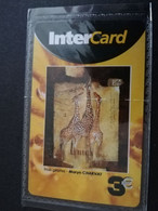 ST MARTIN  INTERCARD  TROIS GIRAFFES            3 EURO /   INTER 197 / MINT CARD    ** 9264 ** - Antillas (Francesas)