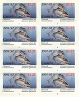 250r) BC Canada Sheet Salmon Fishing  BCF3 1991 - Briefe U. Dokumente