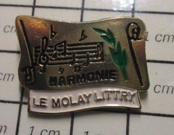 910B Pin's Pins / Beau Et Rare / THEME : MUSIQUE / FANFARE ORCHESTRE HARMONIE LE MOLAY-LITTRY - Musique