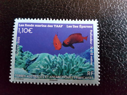 Fsat 2022 Taaf Antarctic Seabed Fish Corals EPARSES Fonds Marine Life 1v Mnh - Unused Stamps