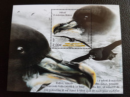 Fsat 2022 Taaf Antarctic Bird Aves Oiseaux PETREL MENTON BLANC Procellaria Ms1v Mnh - Unused Stamps