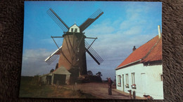 CPM MOULIN A VENT TERDEGHEM NORD STEENVOORDE A RECU AILES EN 1982 GRACE A  A R A M NORD PAS DE CALAIS - Windmills