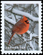 USA 2020 MiNr. 5769 - 5778 Birds  Red Cardinal, Barn Owl, Blue Jay  3v  MNH** 4,00 € - Eulenvögel