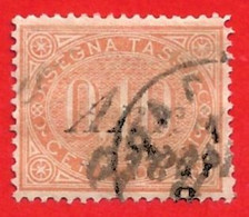 1869 (2) Ovale Con Diciture E Valore Al Centro In Un Rettangolo Decorato - Taxe