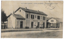 LIFFOL LE GRAND - Vue Générale De La Gare - Liffol Le Grand