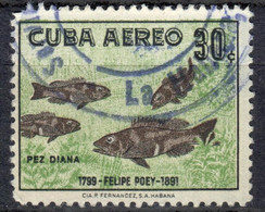 C+ Kuba 1958 Mi 606 Fische TK - Used Stamps