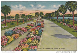 Florida Clearwater Million Dollar Causeway 1948 - Clearwater