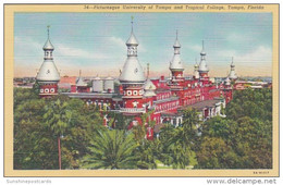 Florida Tampa University Of Tampa And Tropical Foliage Curteich - Tampa