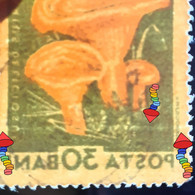 Errors Romania 1958 Mi 1724 Mushrooms Printed With Watermark  Horizontal Line  Used - Variétés Et Curiosités