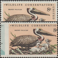 États-Unis 1972 Y&T 965. Curiosité, Dentelure Déplacée. Préservation De La Nature. Pélican Brun (Pelecanus Occidentalis) - Pelikane