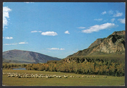 12x Postcards Mongolia 197?-198?, Used, Not Used - Mongolië