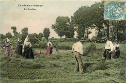 Agriculture * La Vie Aux Champs * La Fenaison * Foin Récolte Paysans Agriculteurs - Culture