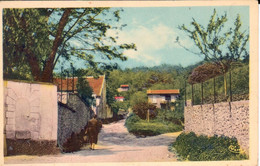 Chanteloup-les-Vignes - La Côte Sevraine - Chanteloup Les Vignes