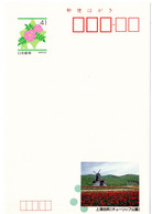 57580 - Japan - 1992 - ¥41 Bild-GA-Kte "Windmuehle Und Tulpenfelder In Kamiyubetsu-cho, Hokkaido", Ungebraucht - Mulini