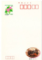 57581 - Japan - 1992 - ¥41 Bild-GA-Kte "Speisepilze, Aibetsu-cho, Hokkaido", Ungebraucht - Mushrooms