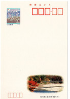 57587 - Japan - 1992 - ¥41 Bild-GA-Kte "Arakawa-Bruecke Bei Sekikawa-mura, Niigata", Ungebraucht - Bruggen