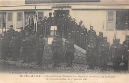 68-SEPPOIS-LE-BAS- PRESENTATION DU DRAPEAU D'UN REGIMENT TERRITORIAL AUX HABITANTS DE SEPPOIS-LE-BAS 1915 - Other & Unclassified