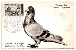 Thème Oiseaux - France Carte Maximum - TB - Pigeons & Columbiformes