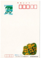 57598 - Japan - 1992 - ¥41 Bild-GA-Kte "Stadt Der Lupinen, Higashikushira-cho, Kagoshima", Ungebraucht - Other & Unclassified