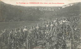 21 Gevrey  Chambertin Les Vendanges Aux Verroilles - Gevrey Chambertin