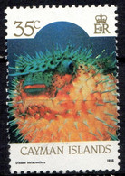 Kaiman+ 1986 Mi 577 Mnh Kugelfisch TK - Iles Caïmans