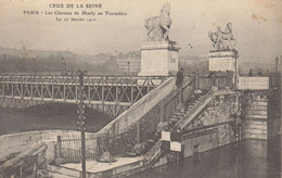 Paris  16 : Les Chevaux De Marly , Crue Au Trocadéro  ///  Réf. Mars. 22 / N° 19.466 - Arrondissement: 16